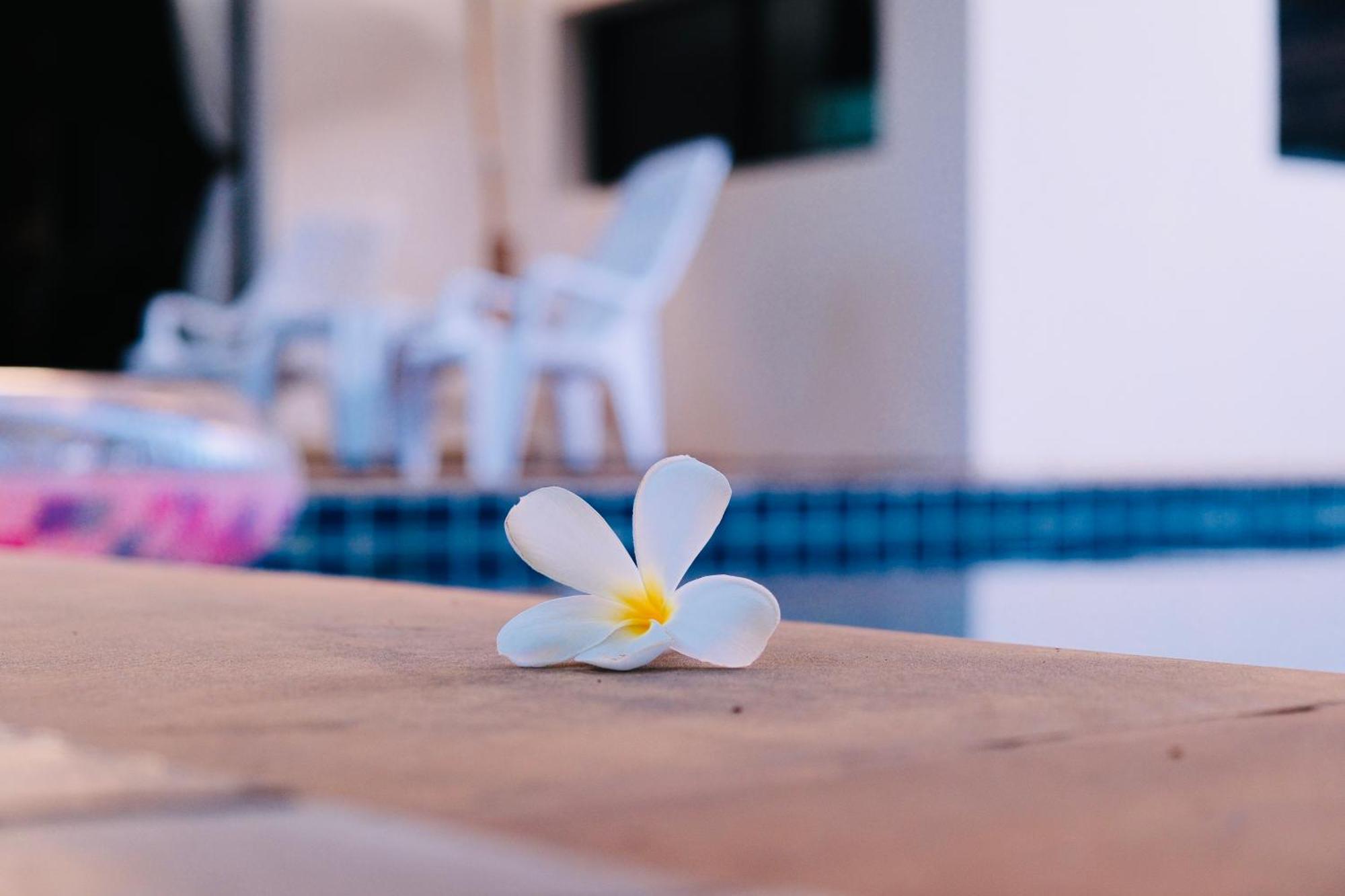 Villa Hollywood Pool Center Pattaya